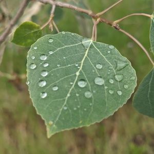 Meet your Posher, Erika